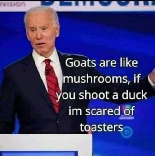 277355041_1437730263351041_900161932610356157_n