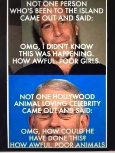 0AB4F9D9-0A58-4D1E-9230-8041DDA4C2E9