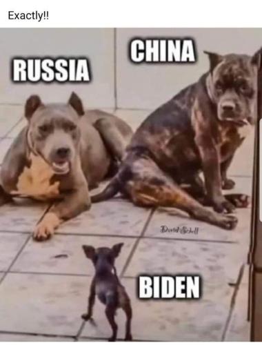 FB_IMG_1648336311972