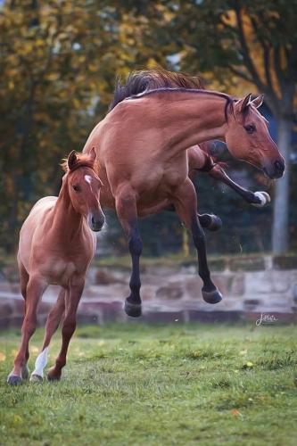 938A8400-77C3-40B7-A87B-34D68B7D507A