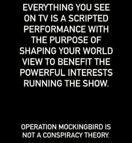 operation mockingbird