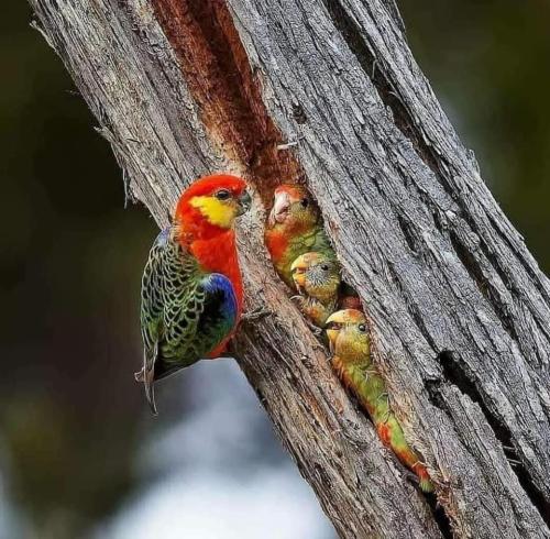 E4106846-518C-4F4A-8BB8-3E7F272B06C0