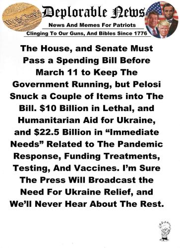 M Pelosi