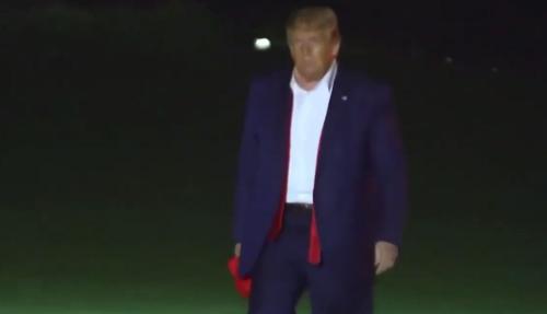 trump warrior