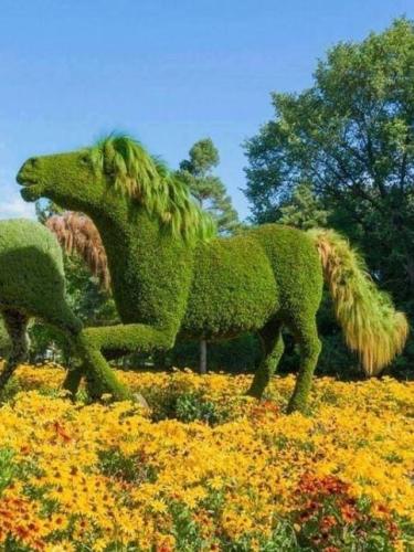 FE24A349-C5A2-49DE-B333-C8C266CD6C14