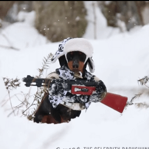 26fcdad59088c5ad2252b9b8cc87af58_1024(1)