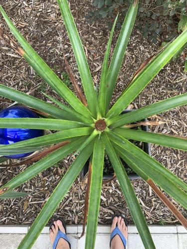 C7A4737C-9210-41E5-BD84-951AF671E4AB