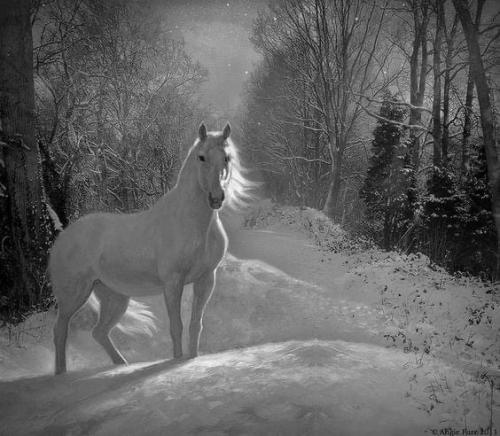 53CE85AA-3FE7-43A8-80AC-98B1A2838E45