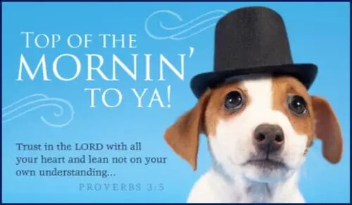 15110-top-of-the-mornin-800x400