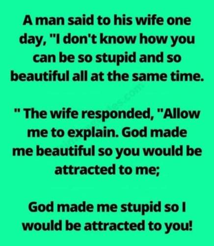 Beautiful and Stupid