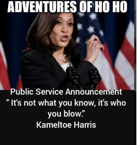 BIDENHOHOPUBLICSERVICEWCAP