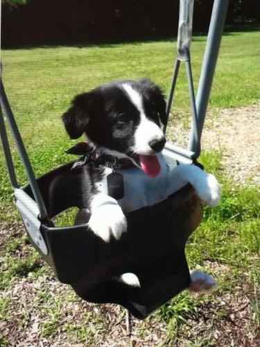 0626144D-DC53-4BD2-AA5E-38938E97CBB1