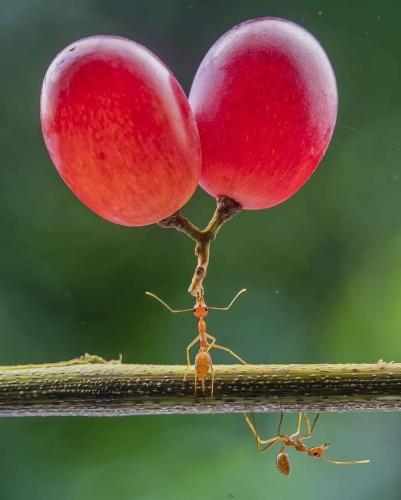 44BA727F-02F1-44C8-A760-D36A183AEF14