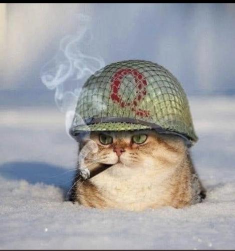 178AE919-C64B-480B-94ED-361E140B097D