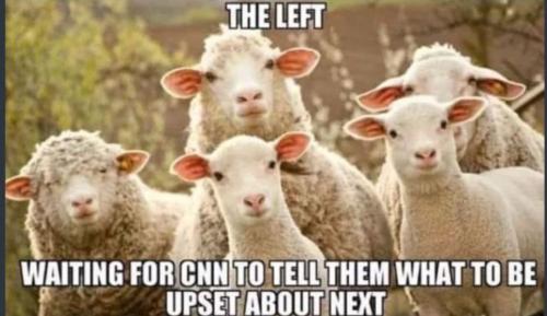 photo5053170332919245578