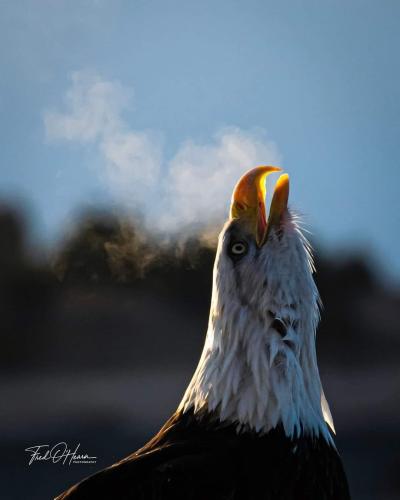 4F8F815A-CD4D-4416-BE3B-57B7CF917A0B