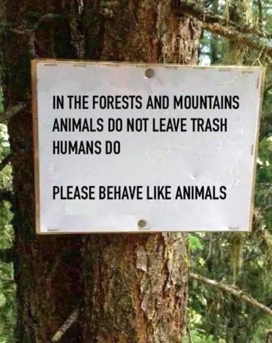 trash