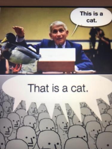 FE39F084-2DAA-4D90-9094-D0ADD930FD26