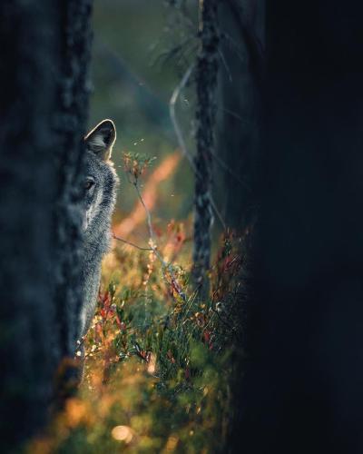 71513F0B-824D-45C0-A538-45A1AAF08455