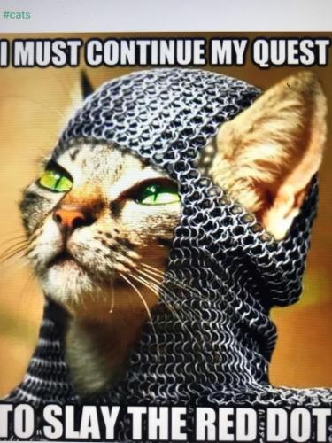 361149B8-23C5-4A21-8E9C-DB44572D8CFD