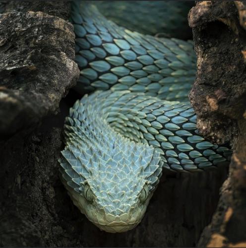 B7370EB0-B909-4661-BFEA-B79B249B399E