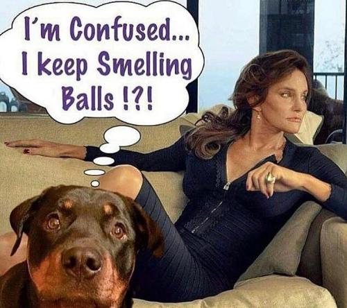 I've got news for you Brucie You're ALWAYS gonna smell like BALLS