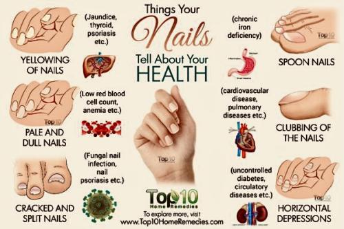 9871B738-0204-4D47-81AA-C036D1B04C24