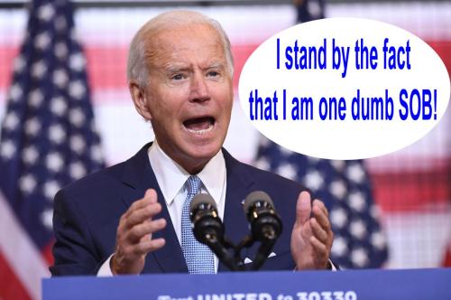 dumb SOB