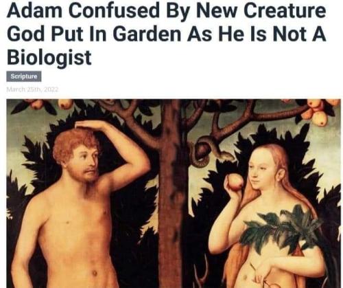 FB_IMG_1648491056349