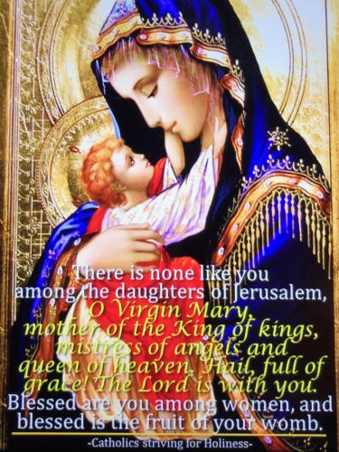 D863ECAA-A969-42D6-9BDD-F35222D7AB44