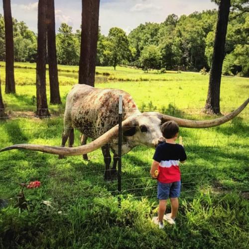 B776A3C0-35DB-4D56-ABA7-94FFA3D79F85