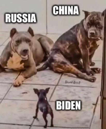 FB Biden