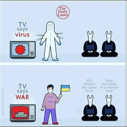 photo_2022-03-07_11-54-26