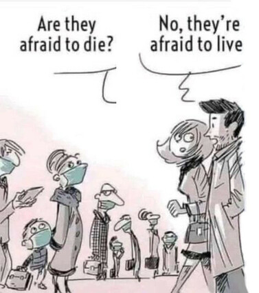 theylikebeingtoldwhattodo