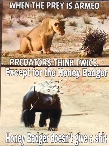 B23A6DBE-347B-4F71-8CF2-5AA0F6D67596