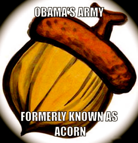acorn obama 2