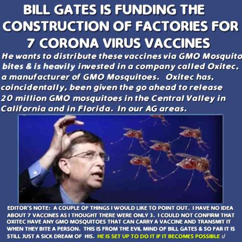 GatesGMOVaccineMosquitoes