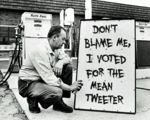 Tweeter