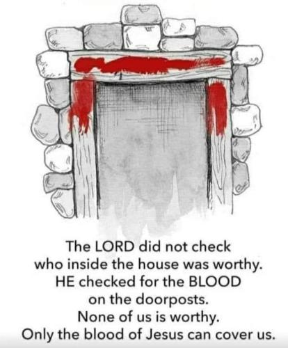 FB_IMG_1617030575156