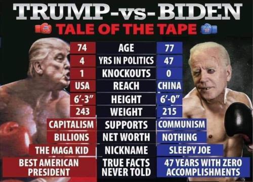 M Trump vs Biden