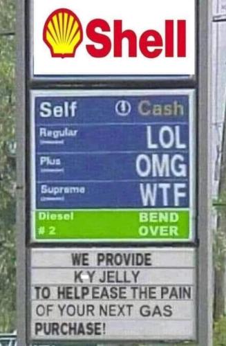 SelfCashRegularLolPlusOmgSupremeWTFDiesel2BendOver