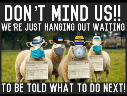 9efadc5a-f7fc-4626-9f99-d9c85ae5538f