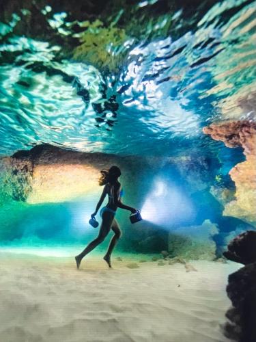 C8087E42-2124-4ED8-B9EB-F904C0A9EDA5