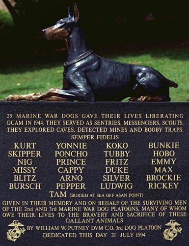 A4448470-FA9D-4E63-9CA5-C86752D29ADD