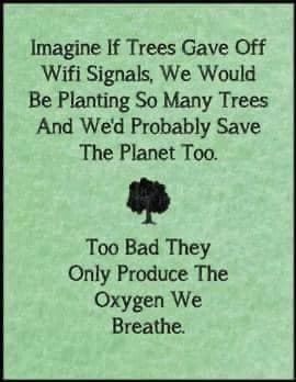 e84e8fa2-cbd7-4cfe-b5db-60e369681da8