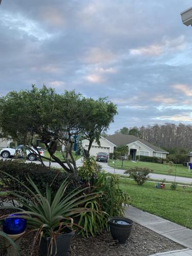 09C3D75B-11E8-49C4-B04B-3BCA3FF8A66A