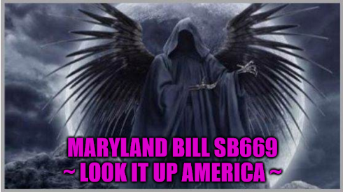 Screenshot 2022-03-20 at 15-32-22 Angel of Death Meme Generator - Imgflip