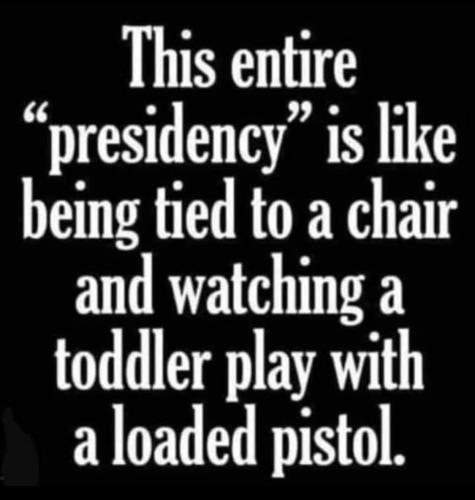 D5A04B0E-042B-41B7-A53C-315BAAF2C61E