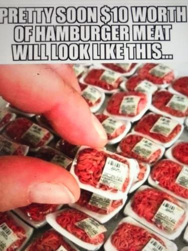 CA2212E1-3CD4-4AEA-8D73-FD5872DEF395