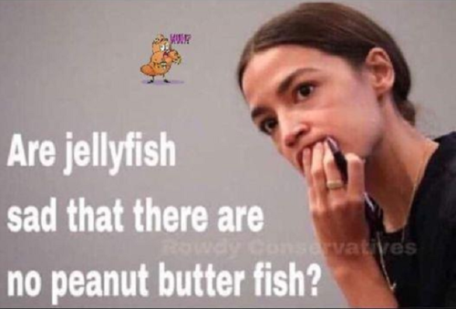 Are jellyfish sad